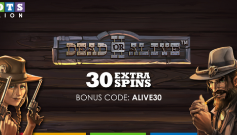 30 Extra Spins Promotion on SlotsMillion Dead or Alive 2