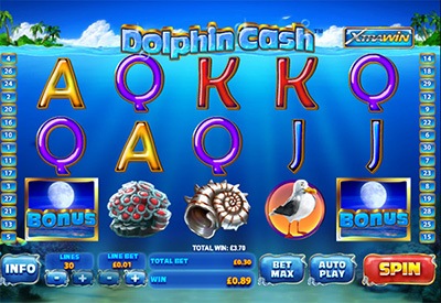 dolphin cash slot